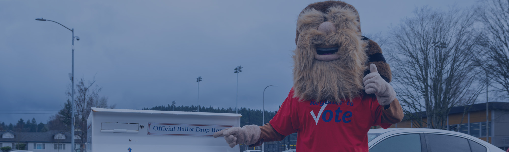 Proceed to the Next Steps