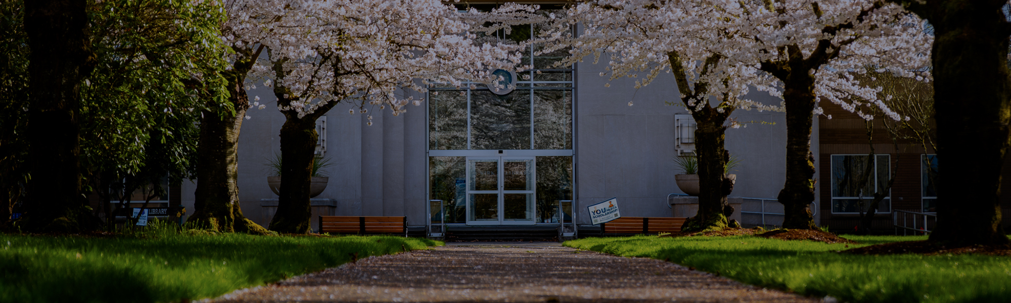 Proceed to the Next Steps