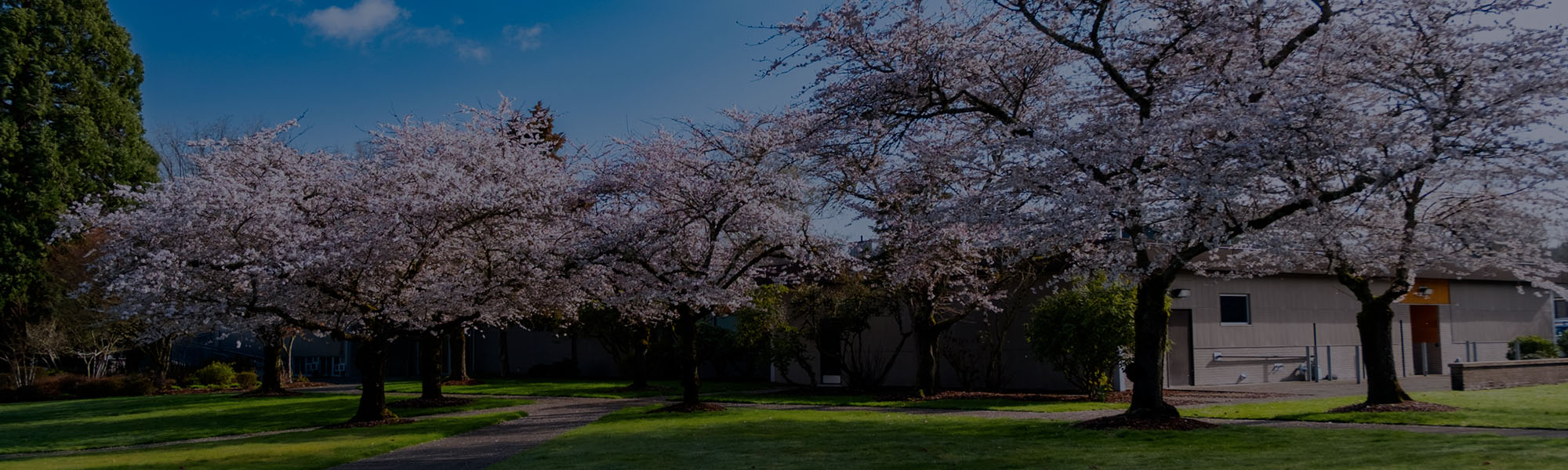 Proceed to the Next Steps