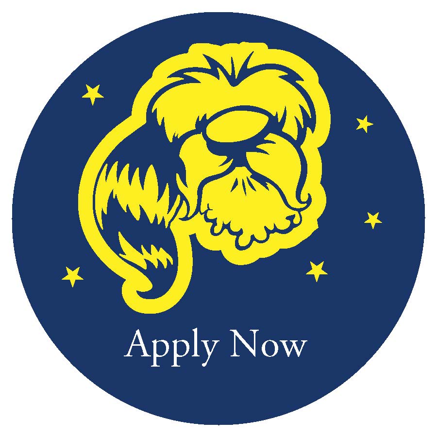 Apply Now Button