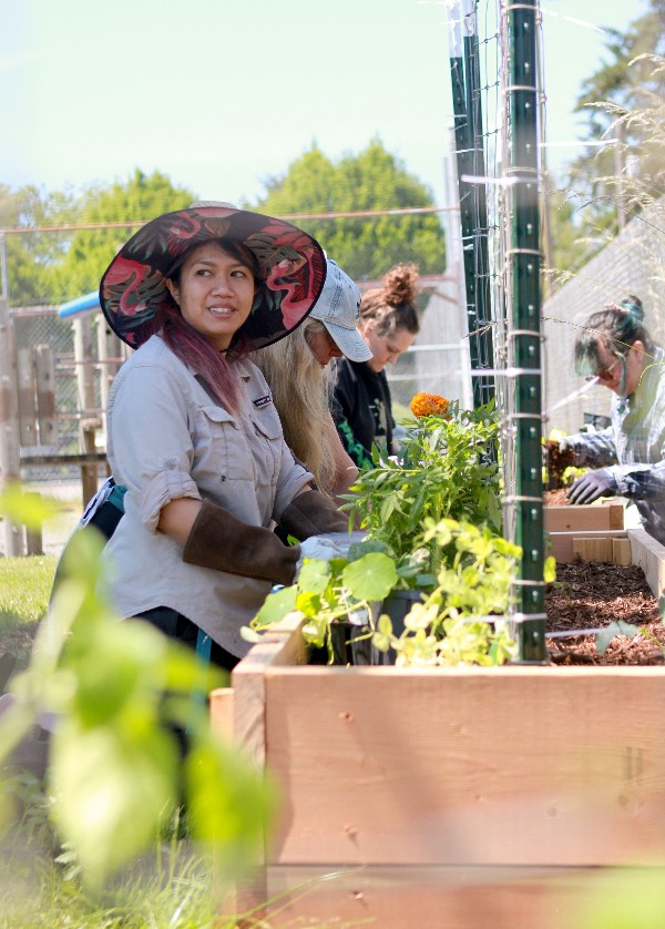 Several volunteers work in the Centralia College Community Garden at the May 2026 planting party.