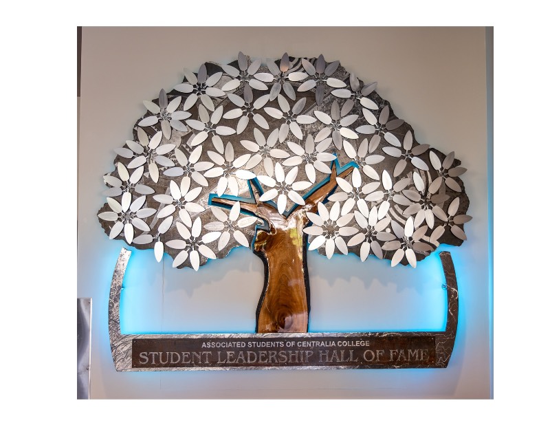 Photo of the Student Leadership Hall of Fame display in the TRansAlta Commons. It is a metal tree with a blue light behind it. On the leaves are space for names of student honorees.